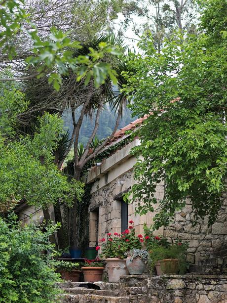 The reviving Dionysian Ritual 